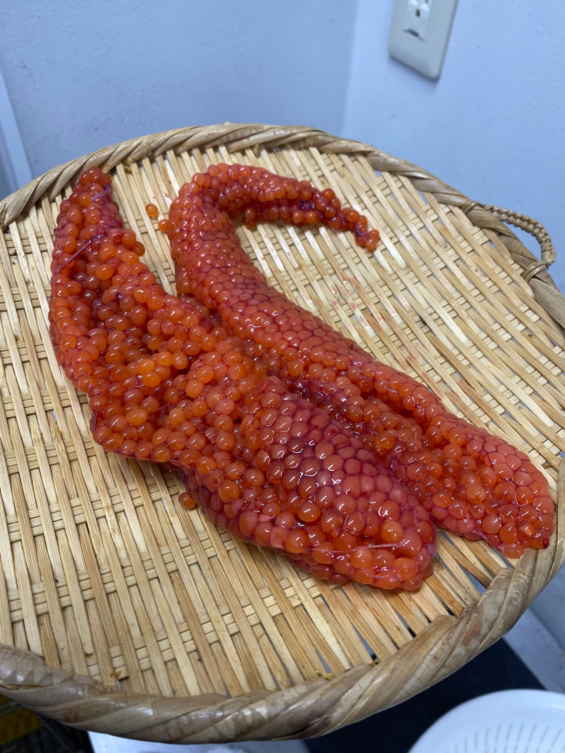 少しずつ食材が変わってきました